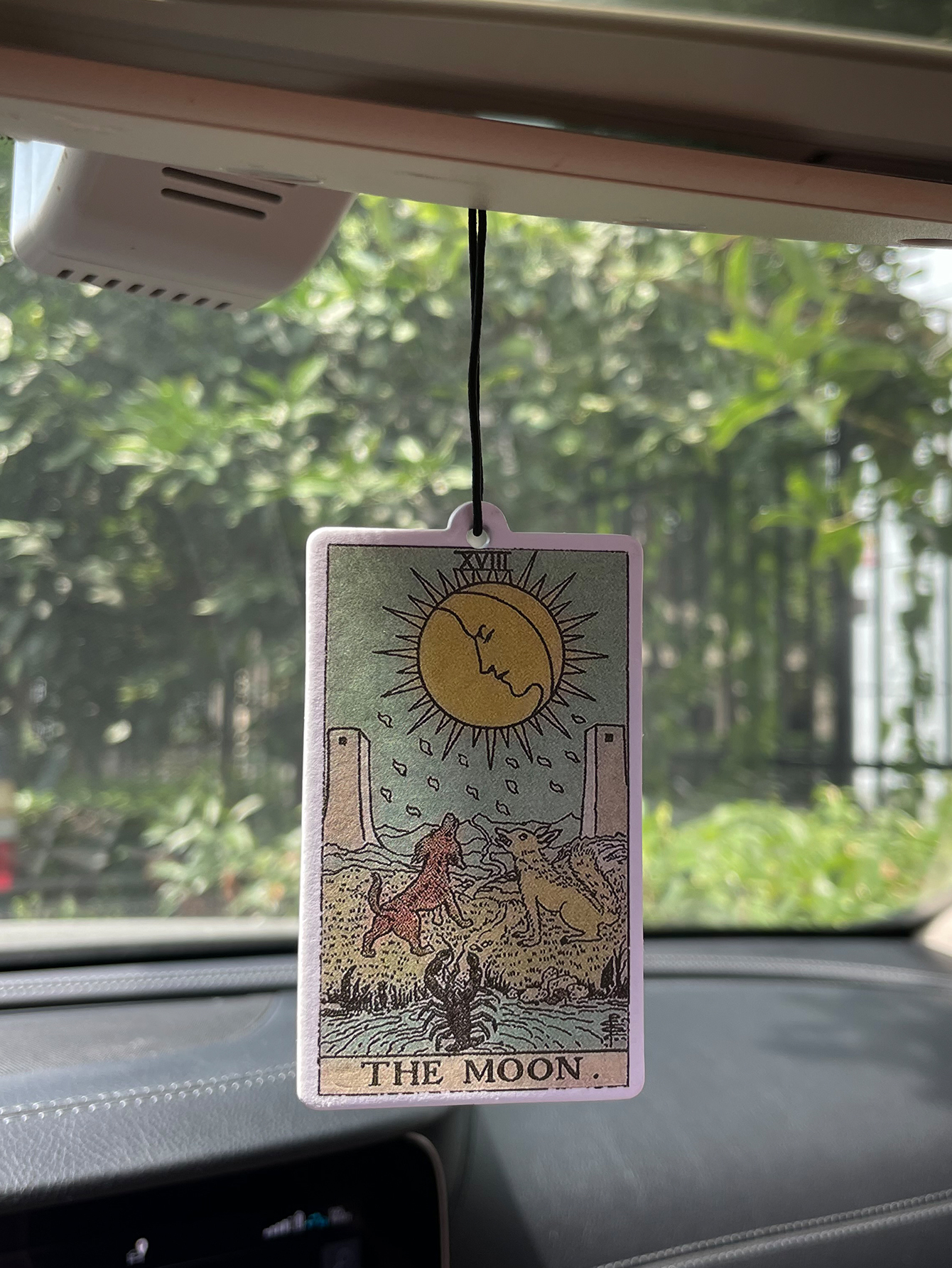 Perfume Fragrance Types - Legend/Gulong Fresh Scent Five-Star Neutral Car
